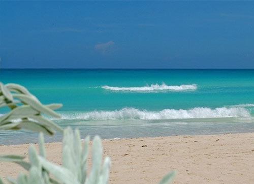 Cayo Santa Maria